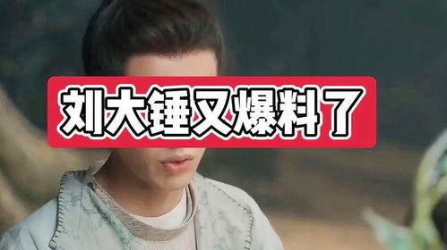 刘大锤爆料生孩子视频,揭秘明星夫妻育儿瞬间  第3张